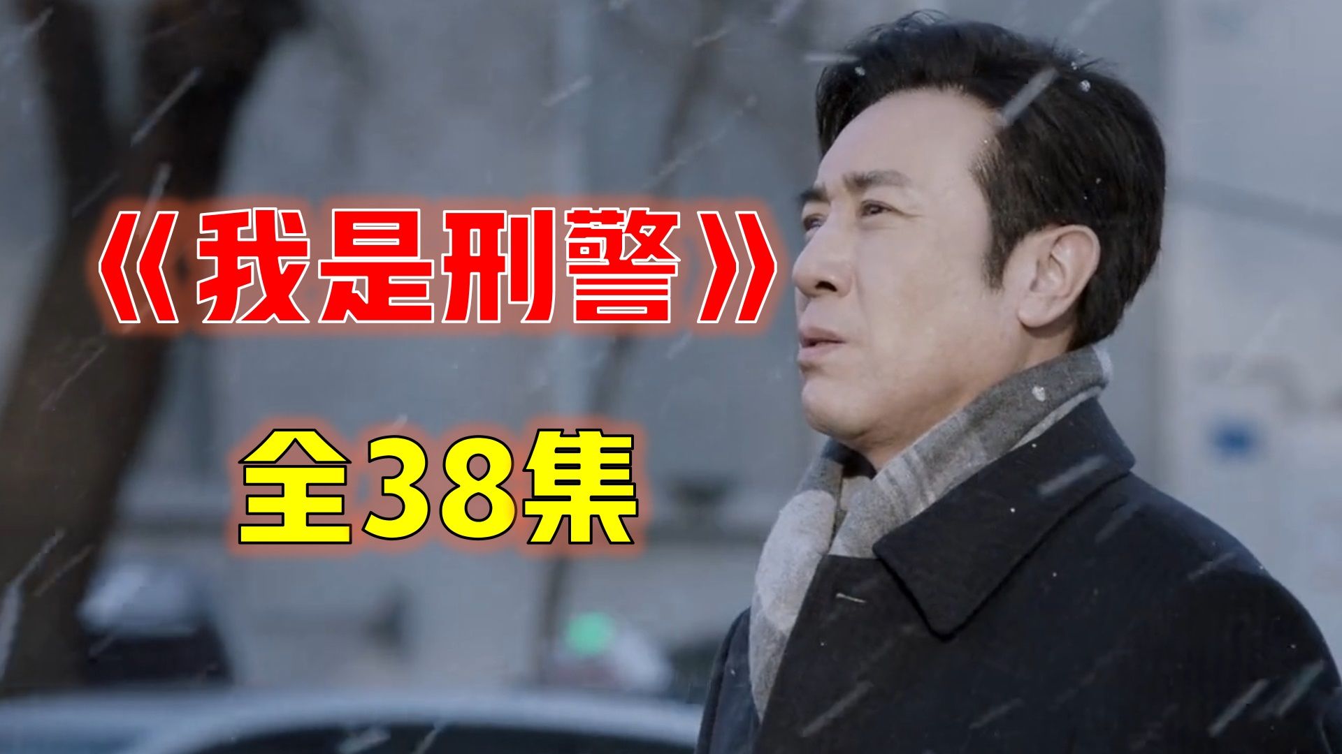 【第34次补档】【丁胖活人解说】《我是刑警》全38集解说
